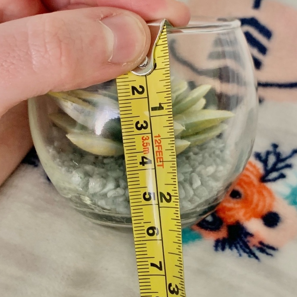 Glass Terrarium Faux Green Succulent Home Cute Mini Decor Accent Art Display - Picture 5 of 5